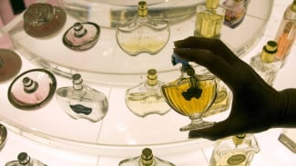 Wow, Muntahan Paus Sperma Jadi Bahan Parfum Mahal