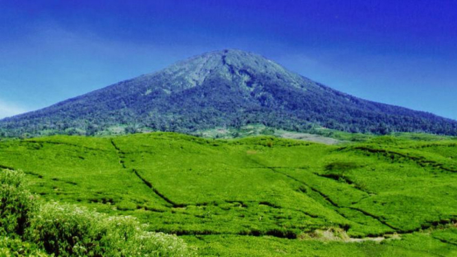  Hutan Gunung  Dempo Terbakar