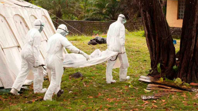 Petugas medis di Liberia membawa jenazah penderita virus Ebola.