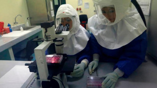 Kemenkes: Ebola dan MERS Berpotensi Masuk Indonesia