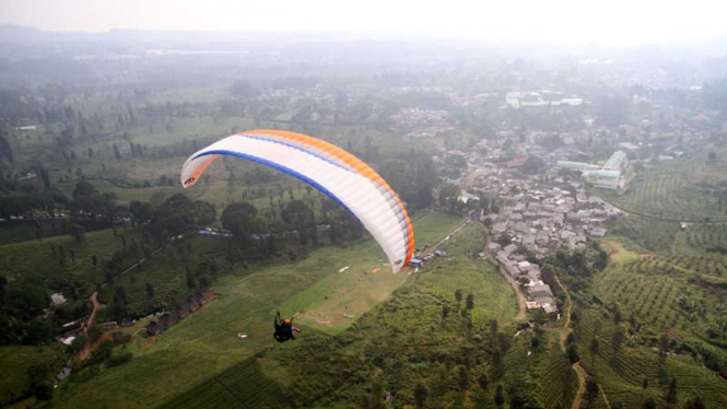 Wisata Paralayang di Puncak Bogor