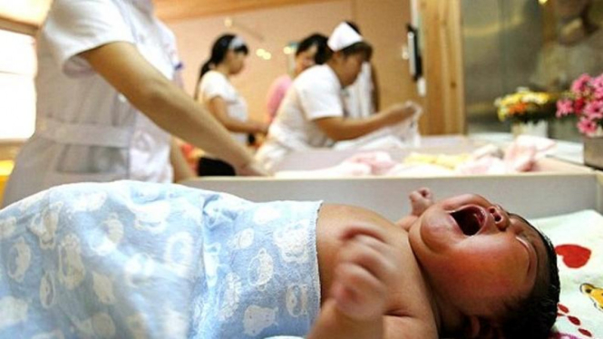 Bayi Raksasa di Shanxi, Tiongkok