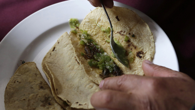 Taco dengan topping kalajengking di Restaurant La Cocinita de San Juan