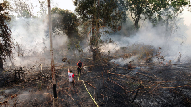 Kebakaran lahan di Riau 2014