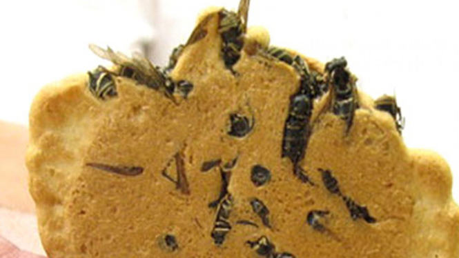 Jibachi Senbei atau Wasp Crackers