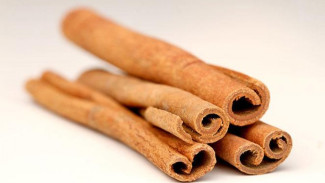 4 Tanaman Herbal untuk Mencegah Kanker