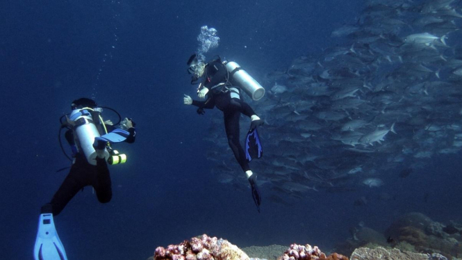 Bawah laut Wakatobi