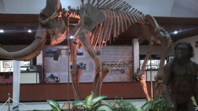 museum gajah 1