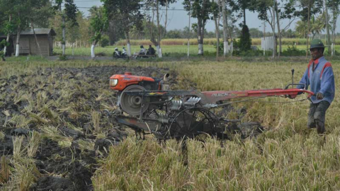 Petani di Malang