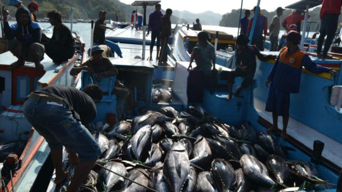 Nelayan Beda dengan Petani, Tak Bisa Serta-merta Naikkan Harga Ikan