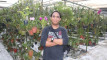 Photo Mini 1