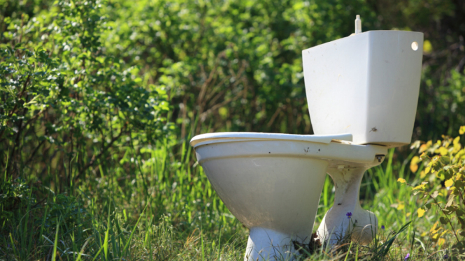 Foto ilustrasi toilet duduk. 