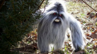 4 Makhluk Raksasa Misterius yang Gemparkan Dunia, Ada Yeti dan Bigfoot