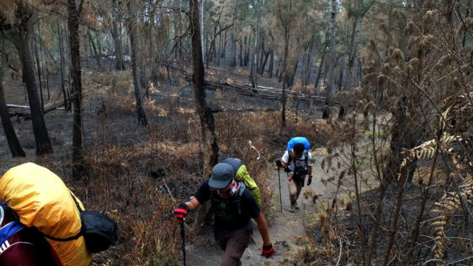 Ilustrasi/Para pendaki di kaki Gunung Semeru beberapa waktu lalu