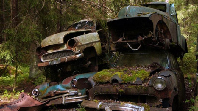 Beberapa bangkai mobil yang ada di tengah hutan di kota Riddarhyttan