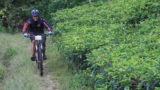 Jelajahi Kawasan Puncak Dari Atas Sepeda