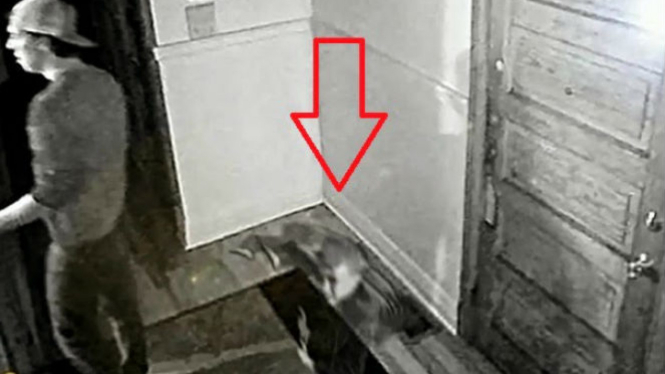 460 Hantu Seram Cctv HD Terbaik