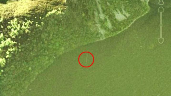Objek diduga Nessie dalam citra satelit dari Google Earth