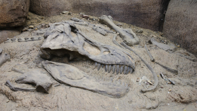 Ilustrasi fosil dinosaurus