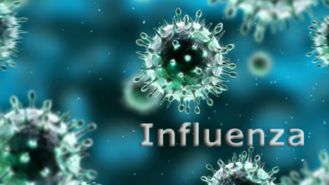 Ilustrasi virus influenza.