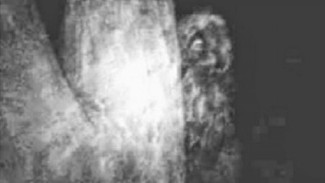 Seorang Peneliti Klaim Berhasil Rekam Suara Yowie