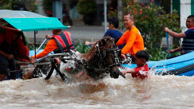 Seorang bocah bantu arahkan kuda terobos banjir di Jakarta