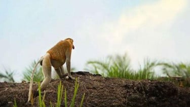 img_title