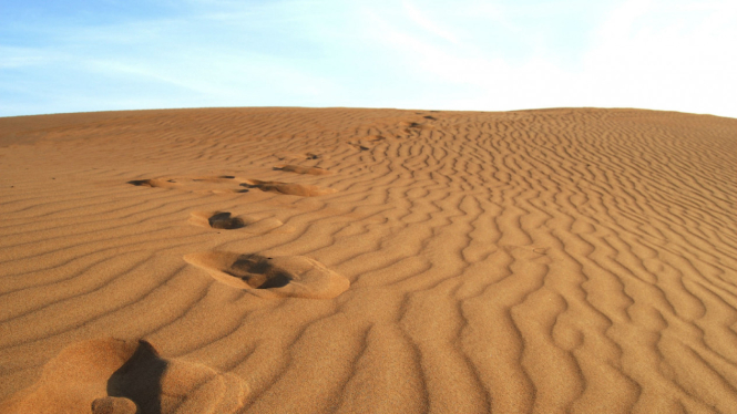 Ilustrasi padang pasir