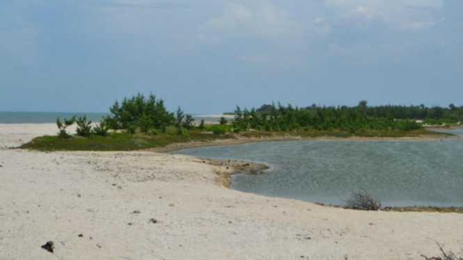 Pantai Pasir Putih Yang Indah Dan Fenomenal Di Tuban Viva