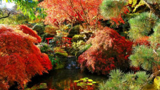 Taman Sejuta Warna yang Indah di Butchart Gardens