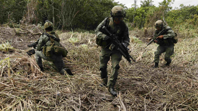 Militer Kolombia saat menyisir markas FARC di pedalaman hutan.