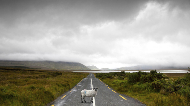 Ilustrasi jalan di Irlandia