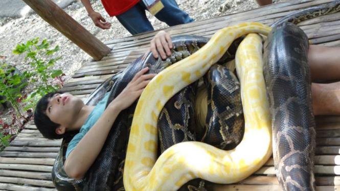 Atraksi di Cebu City Zoo