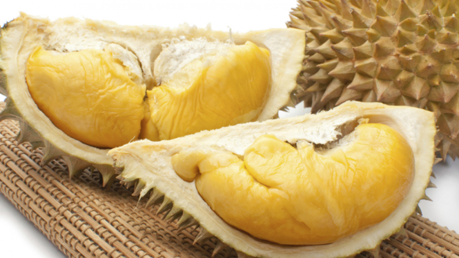 Ilustrasi durian