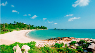 Resort Keren di Bintan, Dibangun dari Ribuan Bambu
