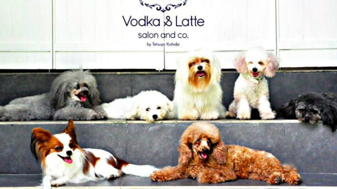 Vodka & Latte Pet Salon