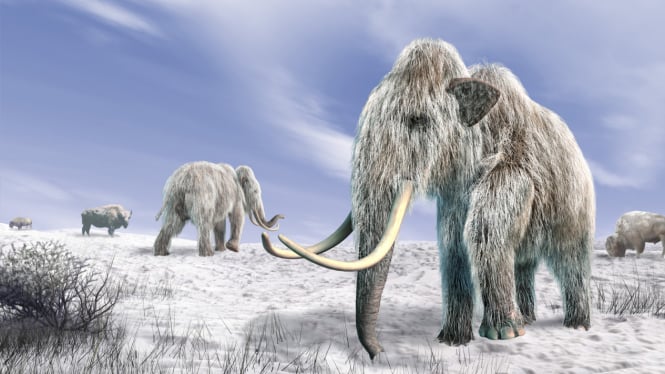 Ilustrasi mammoth