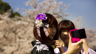 Waktu yang Tepat Melihat Bunga Sakura di Jepang