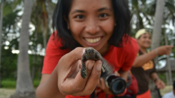 wisawatan memegang penyu sisik di Pantai Nirwana Pulau Karimunjawa 