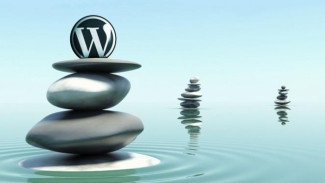 Ingin Website WordPress Terlihat Profesional? Ini Solusinya