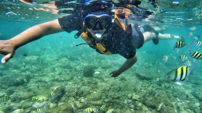 Snorkeling  di Pantai Nglambor