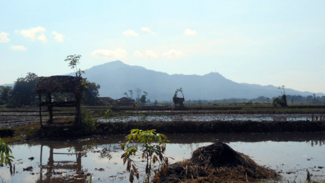 Peninggalan kerajaan Kalingga