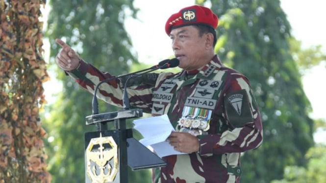 Panglima TNI