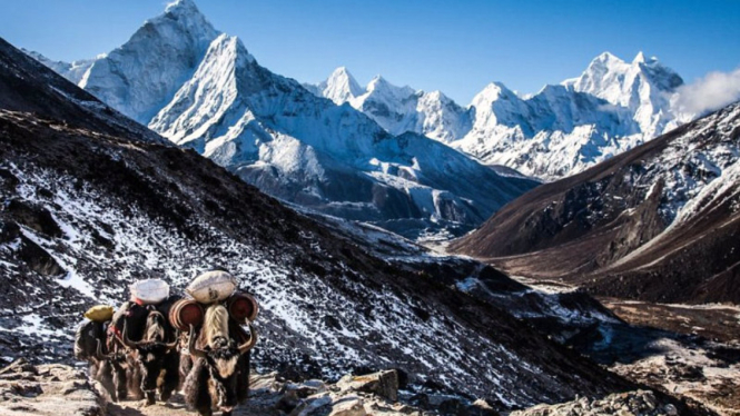 Foto Himalaya karya Berta Tilmantaite yang dijual secara online