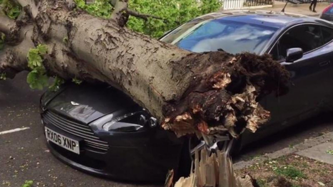 Aston Martin Vantage tertimpa pohon.