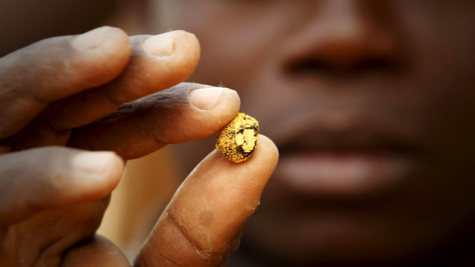 Penambang Emas di Pantai Gading