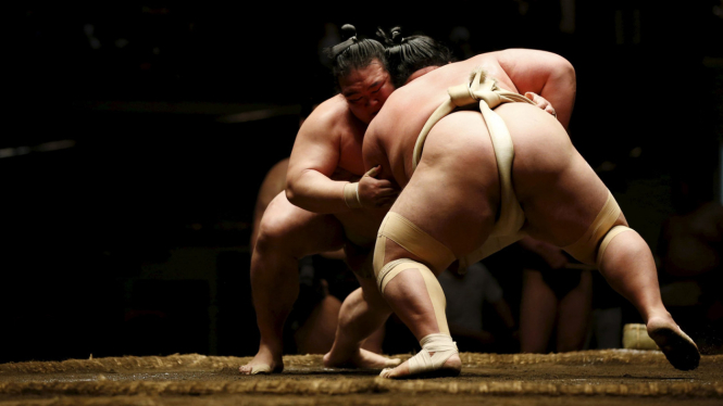 Cara Berlatih Sumo Jepang