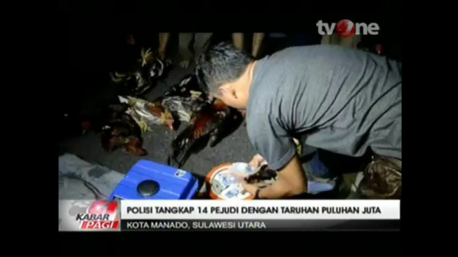 Polisi Tangkap 14 Penjudi Sabung Ayam, Dua Diantaranya Pelajar