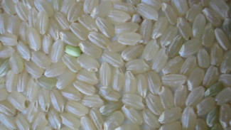 Isu Beras Plastik Teror Warga India