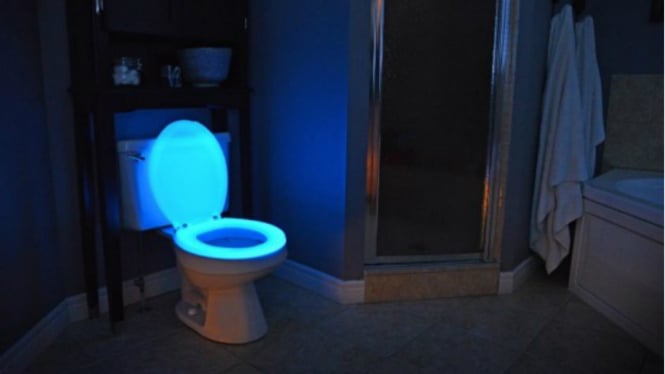 Toilet glow in the dark.